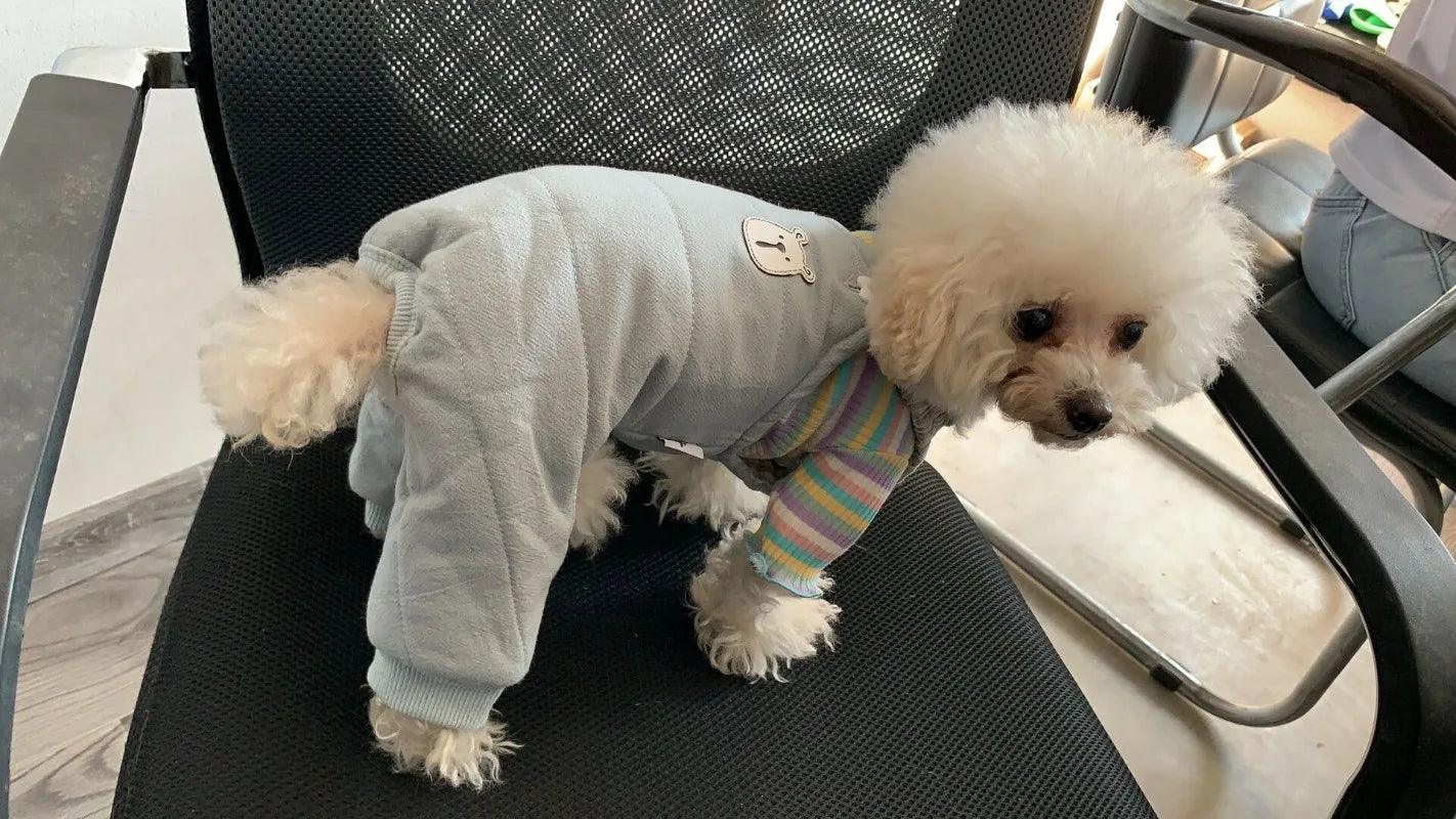 Dress your puppy in style with this cute and cozy vest T-shirt—perfect for keeping your furry friend comfortable and fashionable! -