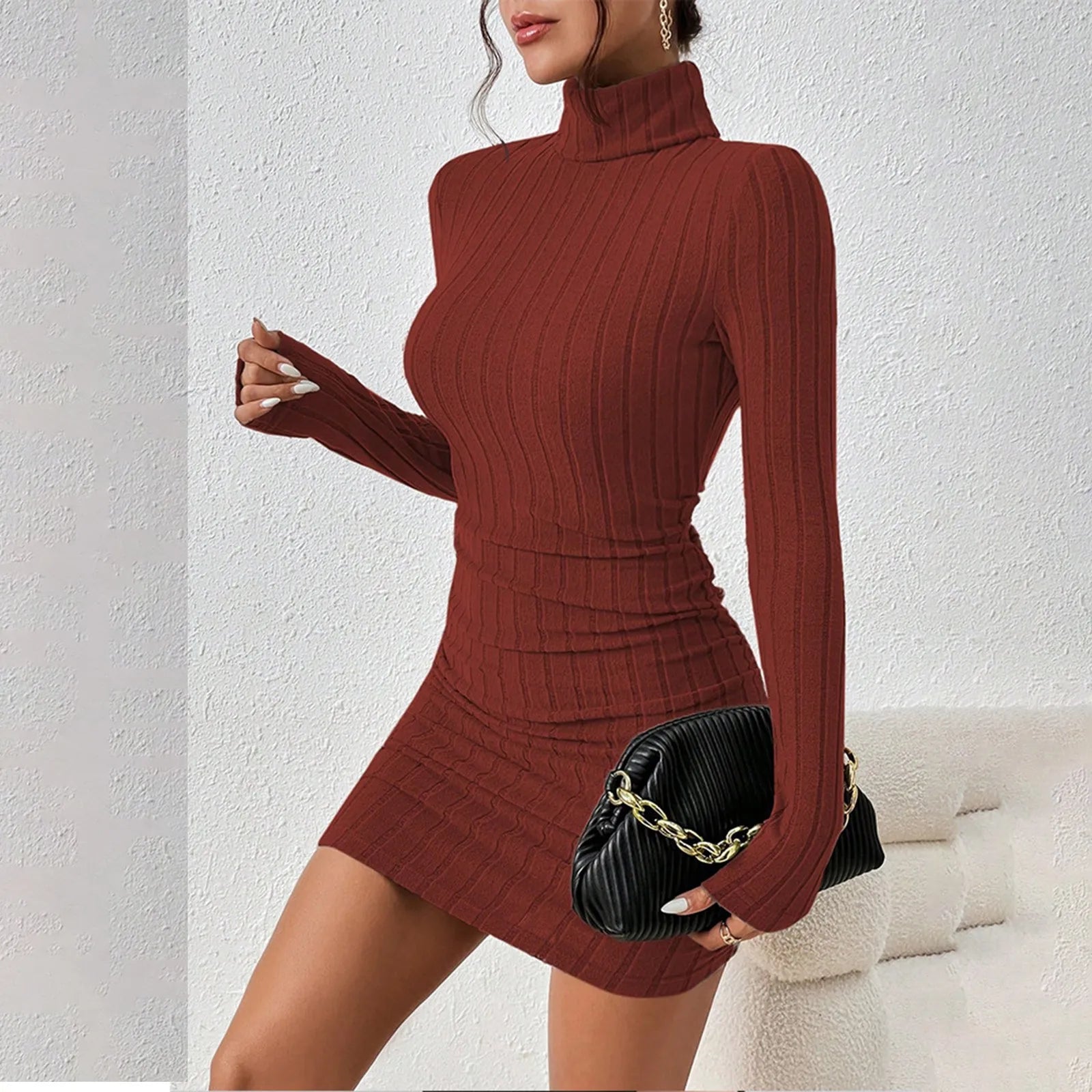 Turtleneck Long Sleeves Dress -