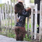 Glorious Eagle Pattern Dog Coat Jacket Soft Waterproof -