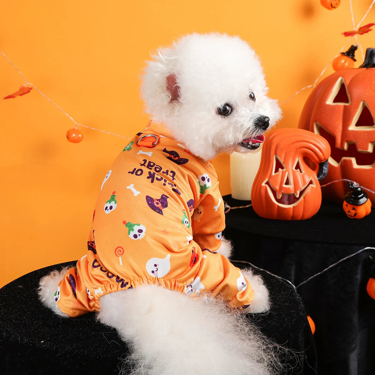 Dress your furry friend in style with these handsome, cute, and beautiful dog costumes for puppies—perfect for adding a touch of charm to their wardrobe! -