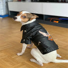Glorious Eagle Pattern Dog Coat Jacket Soft Waterproof -
