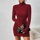 Long Sleeves Turtleneck Dress -