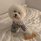 Keep your pets looking fashionable with this cute and elegant pet clothing—perfect for pet parties and special occasions, ensuring your furry friends are dressed to impress! -