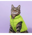 Keep your pets warm in the winter cold with these cotton clothing options—suitable for both cats and dogs, providing universal comfort and warmth! -