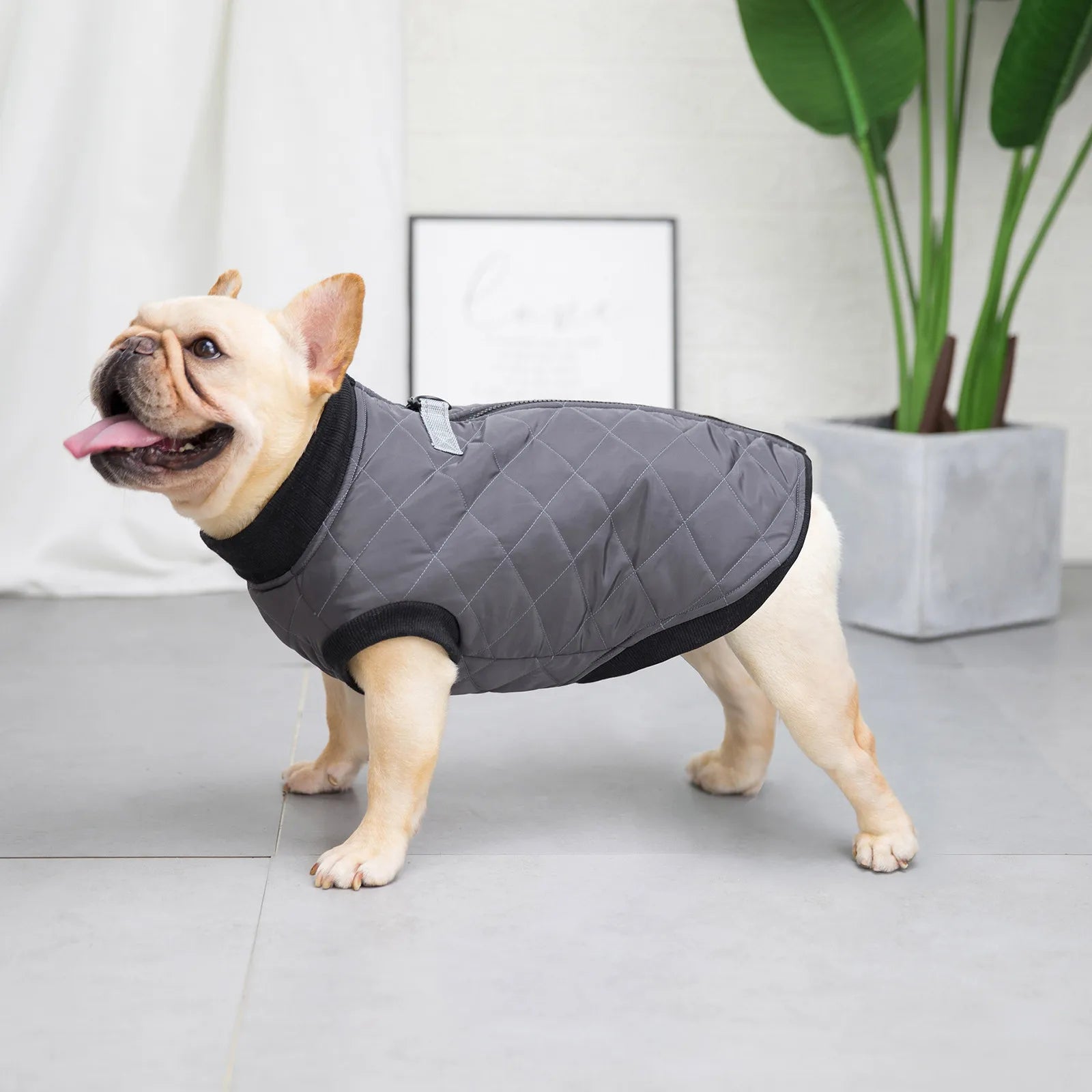 Pet Dog Clothes Winter Warm Padded Dog Clothes Waterproof Pet Coats Vest Jacket For Small Medium dogs Puppy Costumes -