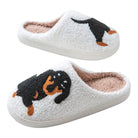 Slippers -