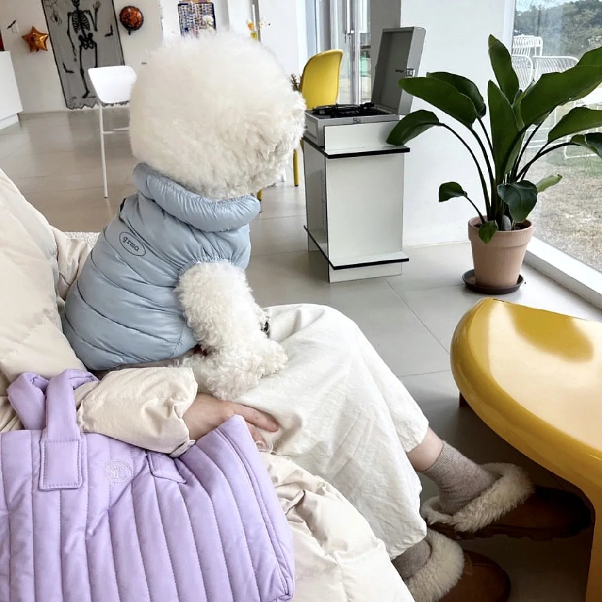 Keep your pet warm and fashionable with this soft cotton coat—a cozy and stylish addition to your pet's wardrobe! -