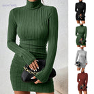 Turtleneck Long Sleeves Dress -