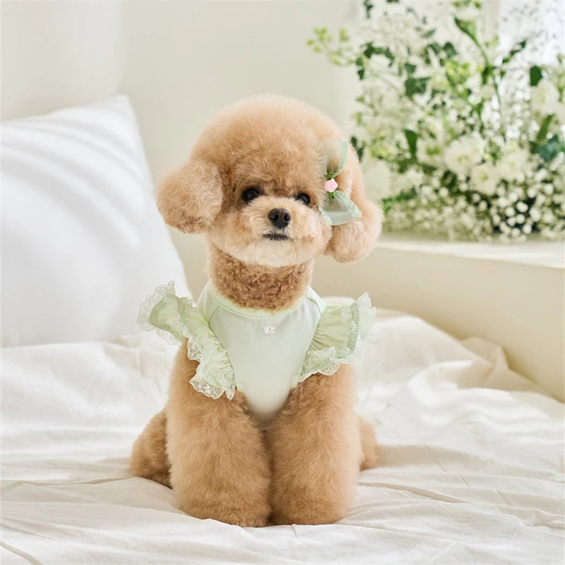 Dress up your furry friend in adorable style with this green lace ruffle shirt dress—perfect for small dogs and kittens to look cute and stylish during the summer season! -