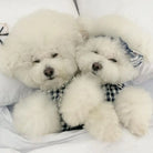 Keep your pets looking fashionable with this cute and elegant pet clothing—perfect for pet parties and special occasions, ensuring your furry friends are dressed to impress! -