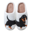 Slippers -