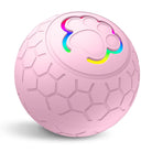 Smart Toy for cats and dogs -