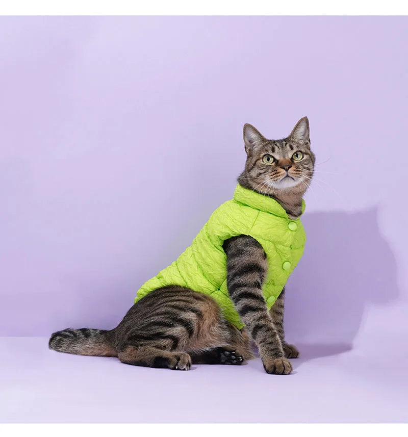 Keep your pets warm in the winter cold with these cotton clothing options—suitable for both cats and dogs, providing universal comfort and warmth! -