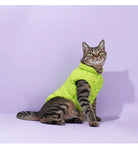 Keep your pets warm in the winter cold with these cotton clothing options—suitable for both cats and dogs, providing universal comfort and warmth! -
