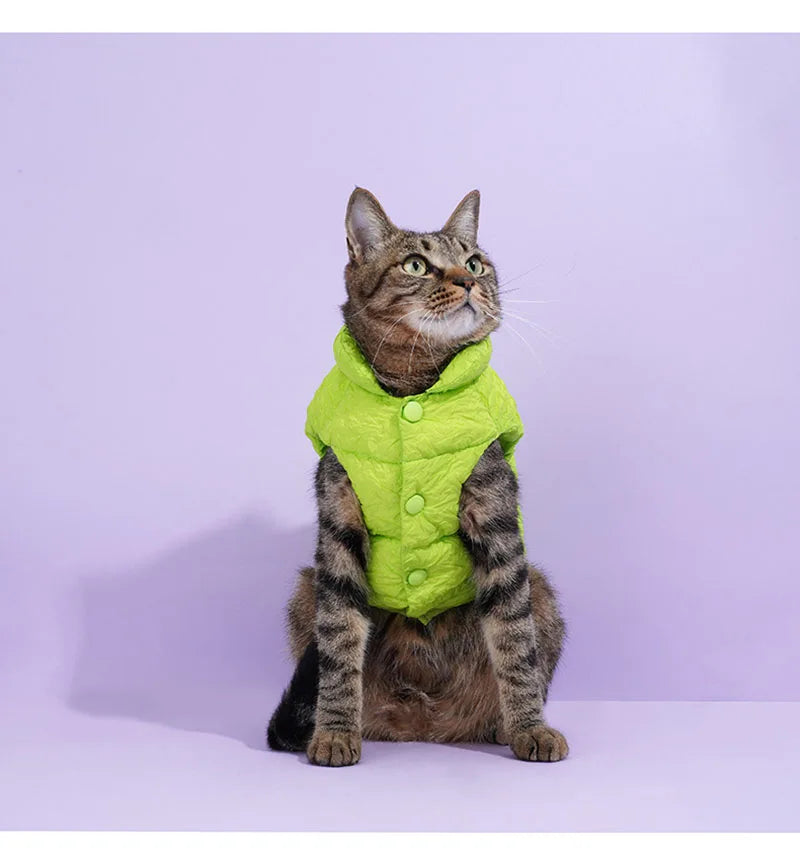 Keep your pets warm in the winter cold with these cotton clothing options—suitable for both cats and dogs, providing universal comfort and warmth! -