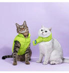 Keep your pets warm in the winter cold with these cotton clothing options—suitable for both cats and dogs, providing universal comfort and warmth! -
