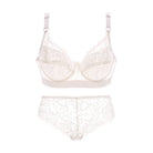 Lace Panty and Briefs -