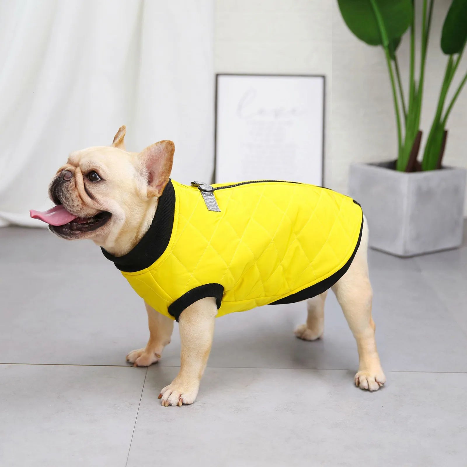 Pet Dog Clothes Winter Warm Padded Dog Clothes Waterproof Pet Coats Vest Jacket For Small Medium dogs Puppy Costumes -