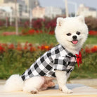 Dress your pet in a stylish plaid and striped shirt—perfect for adding a touch of sophistication to your furry friend's wardrobe! -
