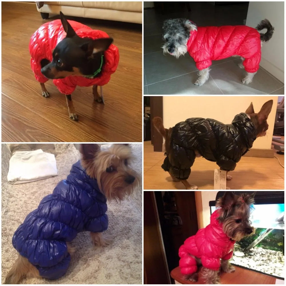 Keep your furry friend warm and stylish in the winter with this dog jumpsuit romper—perfect for overall comfort and coziness! -