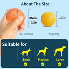 Smart Toy for cats and dogs -