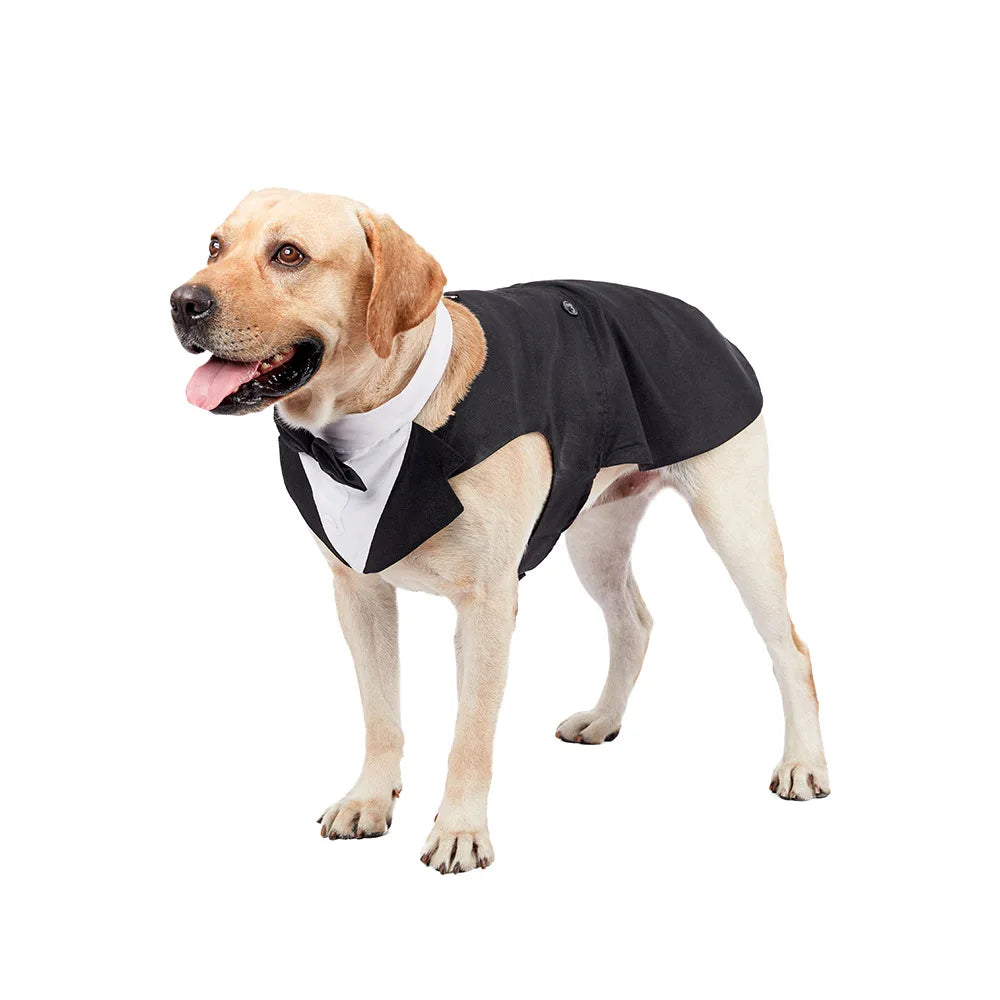 Dress up your pup for the occasion with this fashion-forward party show formal suit featuring a tie bow tuxedo—perfect for making a stylish statement! -