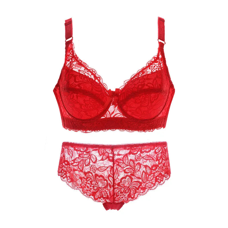 Lace Panty and Briefs -