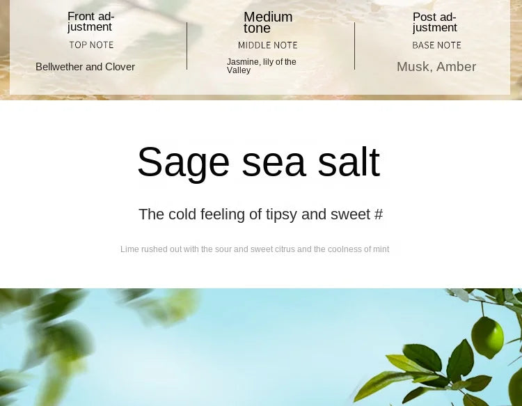 Car Aromatherapy Long Lasting Fragrance -