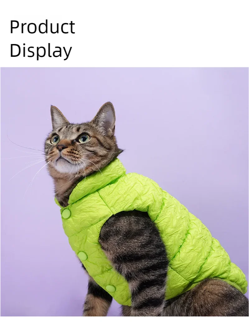 Keep your pets warm in the winter cold with these cotton clothing options—suitable for both cats and dogs, providing universal comfort and warmth! -