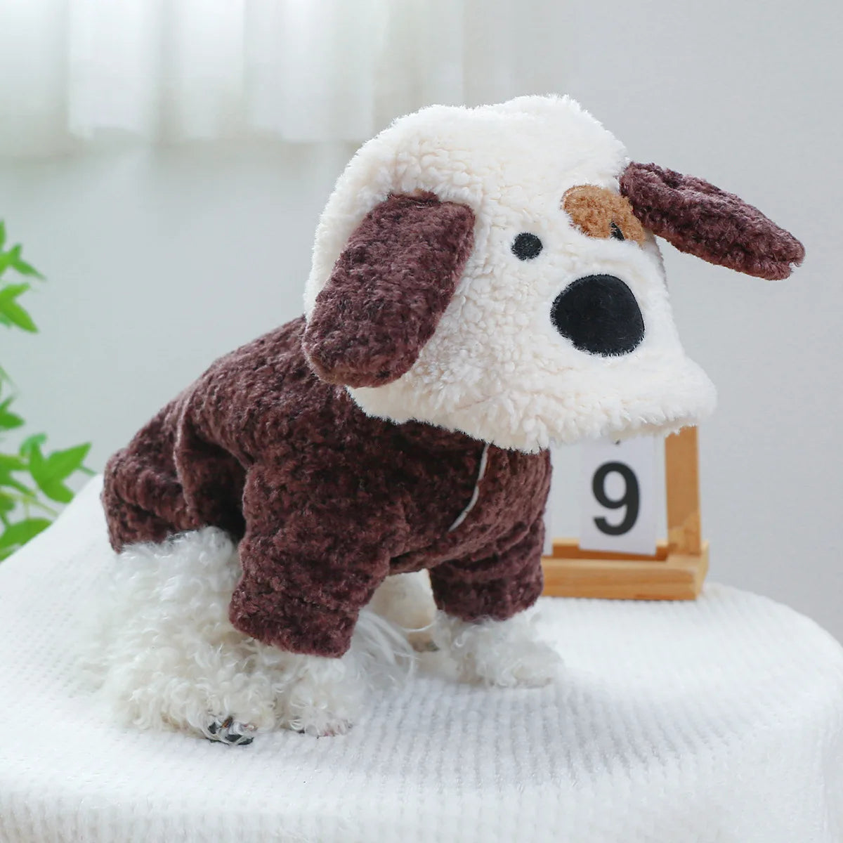 Dress your pet in adorable dinosaur-themed clothes to keep them warm and cozy. -