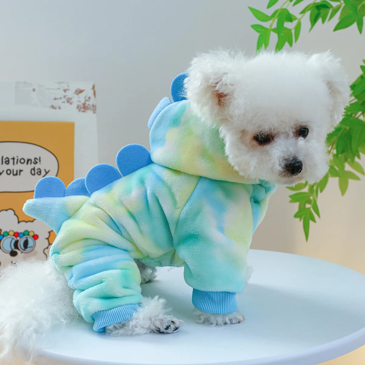 Dress your pet in adorable dinosaur-themed clothes to keep them warm and cozy. -