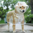 Keep your pet dry in style with this transparent rainwear raincoat for dogs—perfect for providing protection and keeping your furry friend dry during rainy days! -