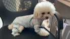 Dress your puppy in style with this cute and cozy vest T-shirt—perfect for keeping your furry friend comfortable and fashionable! -