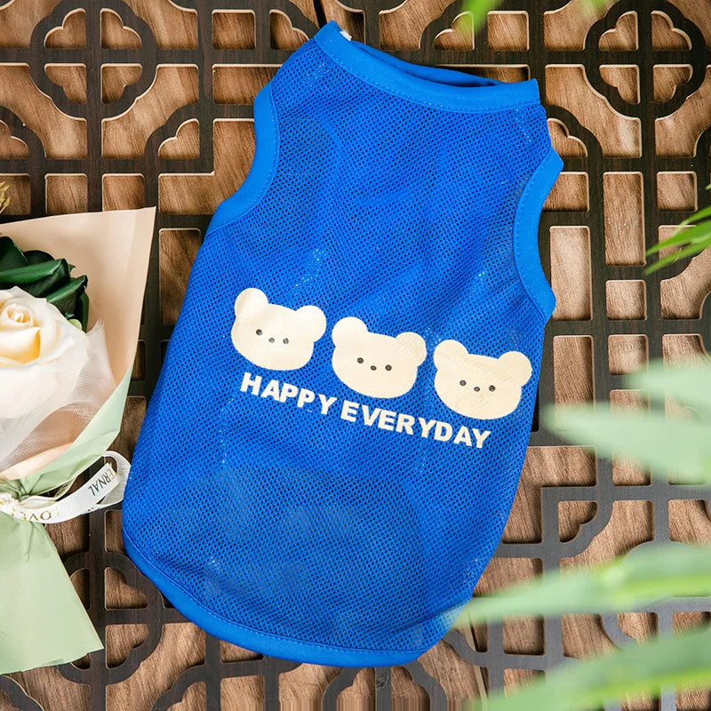 Keep your pets stylish and cozy with these fashionable cat and dog clothes—perfect for adding a touch of flair to their wardrobe! -