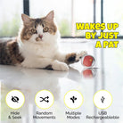 Motion Activated Interactive Cat Toy for Indoor -