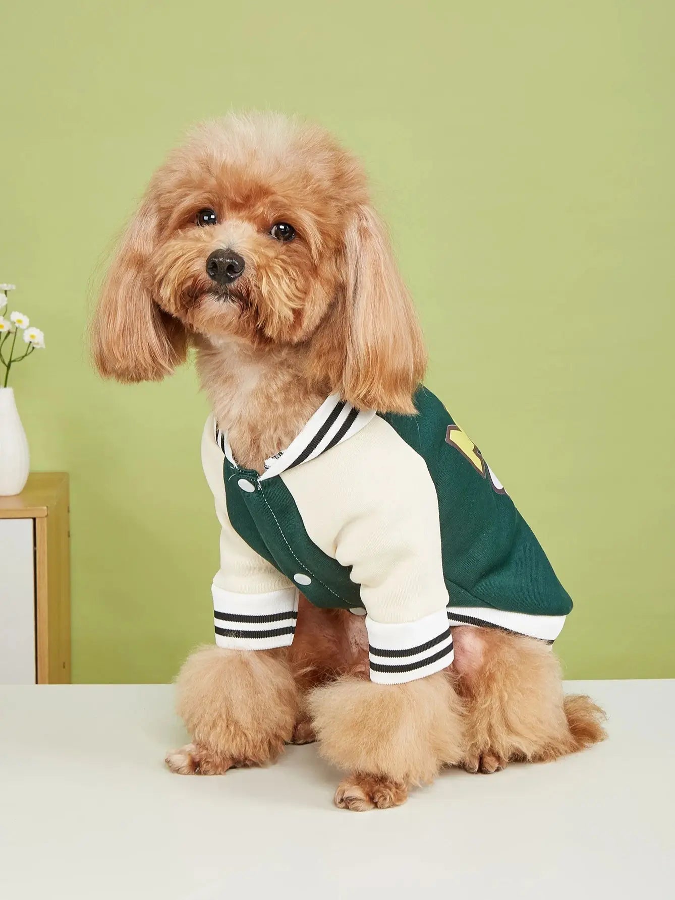 Keep your furry friends warm and cozy with this comfortable and stylish dog and cat jacket—ideal for chilly days and nights! -