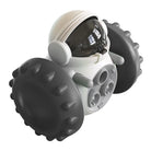 Interactive training toy for cats and dogs -