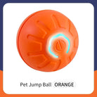 Smart Toy for cats and dogs -