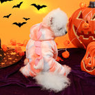 Dress your pet in adorable dinosaur-themed clothes to keep them warm and cozy. -
