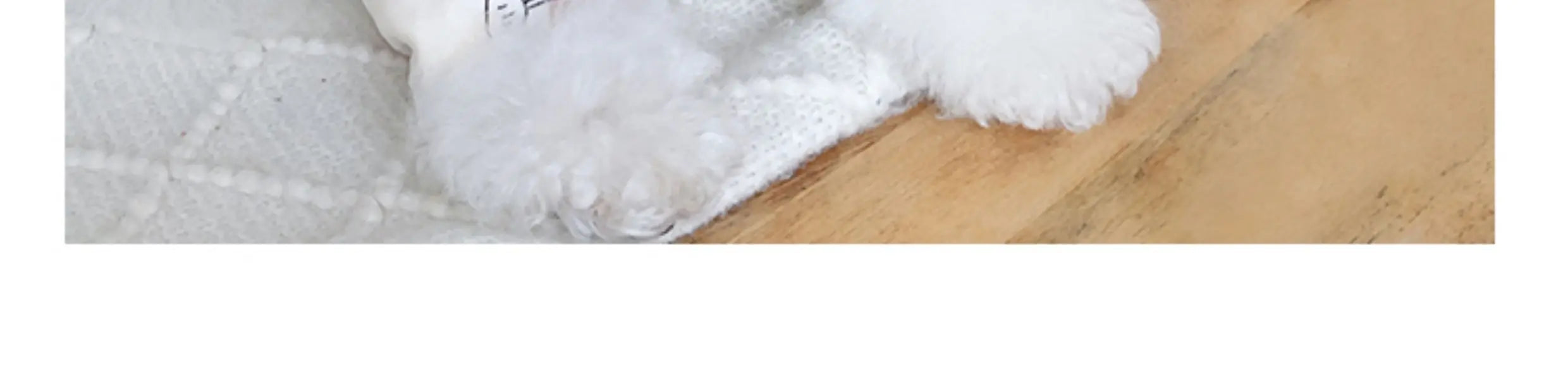 Keep your dogs comfortable at home with these cozy pet clothes—ideal for lounging and relaxing in style! -