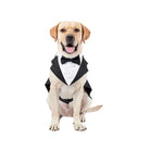 Dress up your pup for the occasion with this fashion-forward party show formal suit featuring a tie bow tuxedo—perfect for making a stylish statement! -
