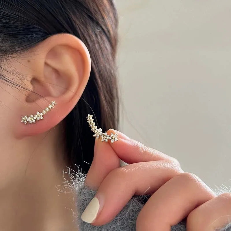 Silver Zircon Flower Star Stud Earrings for Women -
