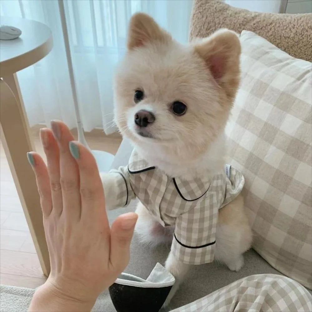 Keep your pets looking fashionable with this cute and elegant pet clothing—perfect for pet parties and special occasions, ensuring your furry friends are dressed to impress! -