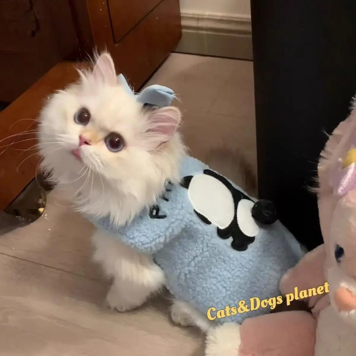 Keep your small and medium-sized dogs, as well as cats, stylish in these adorable pet clothes—perfect for adding flair to your furry friends' wardrobes! -