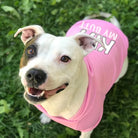 Dog Hoodies -