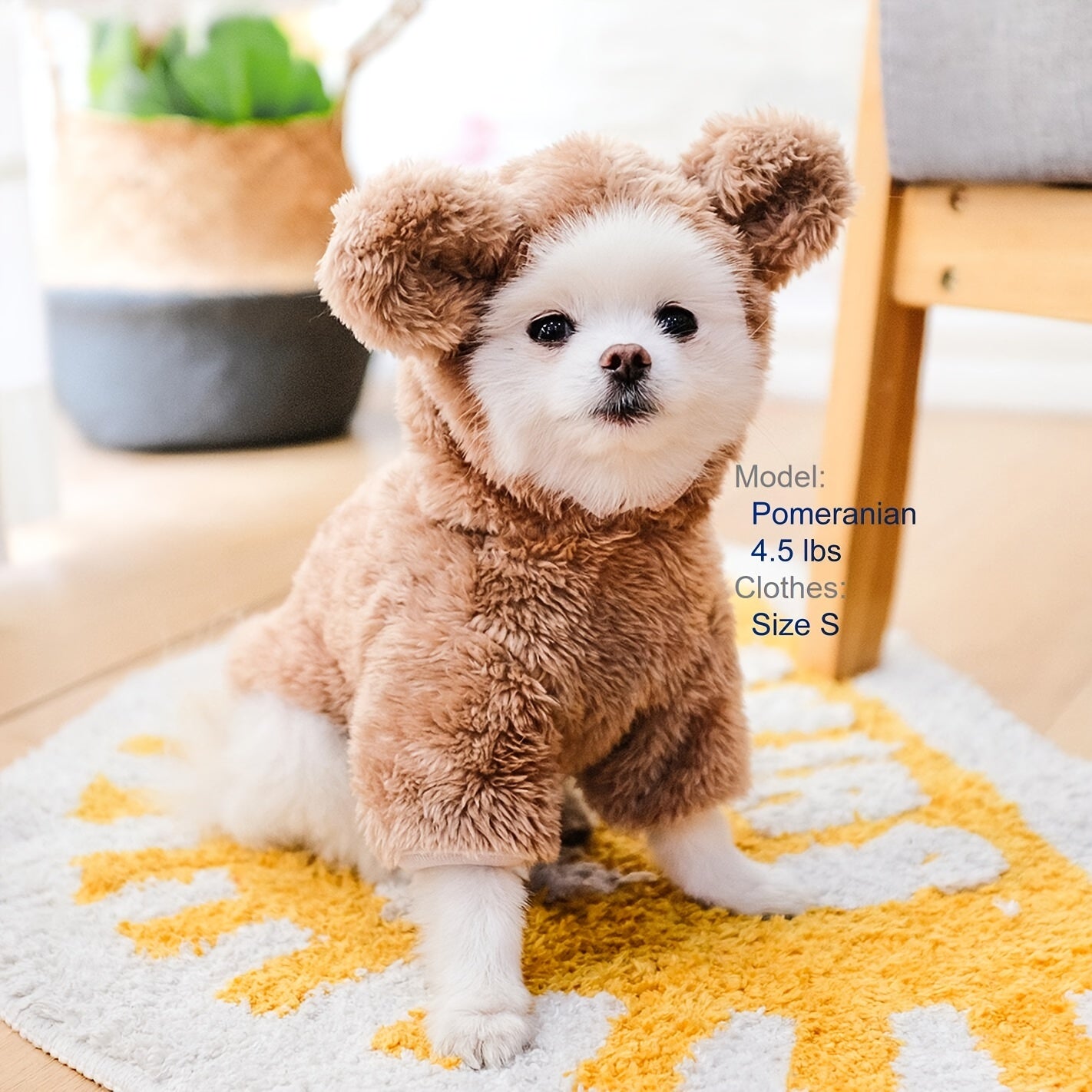 Dress your furry friends to impress with adorable teddy bear, dog, and cat pet costumes! -